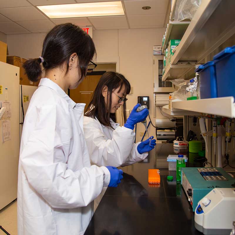 Two students using lab dropper.
